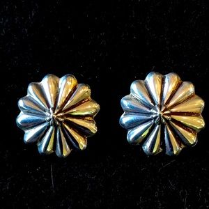 Allison Snowhawk Lee Silver Earrings